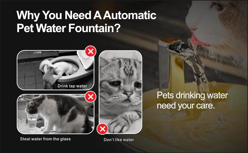 cat water fountain