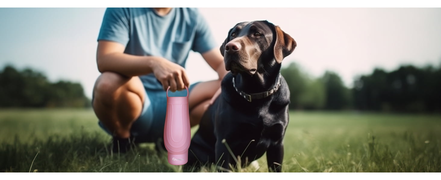 dog water bottle