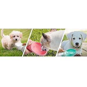 Pet water Bottle