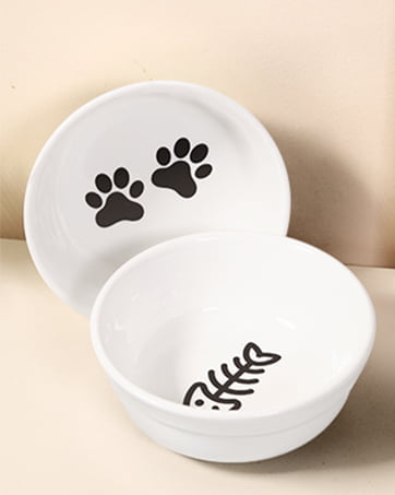 cat bowls