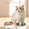 yogurt1-3 Cat Yogurt Maker: Dry Food and Drinking Water Can Be Heated